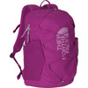 The North Face Backpack- Youth Court Jester