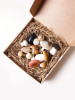 Forest Mushrooms in a Box