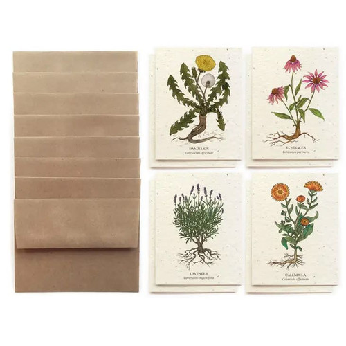 Plantable Wildflower Seed Paper Medicinal Plants Card Set