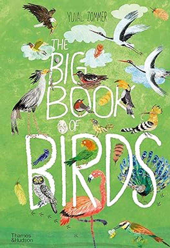 絵本・児童書 Big Bird's Big Book 絵本・児童書 Big Bird's Big Book 絵本・児童書 Big Bird's Big