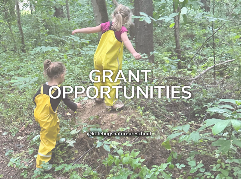 Finding Grants for Nature & Outdoor Elementary Schools & Programs