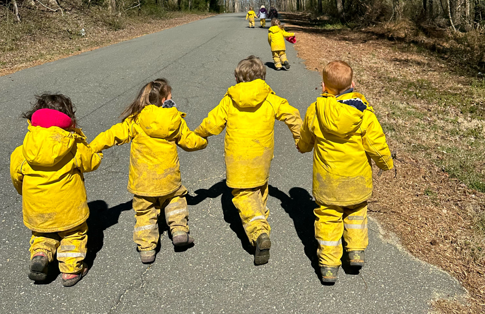 Chatting with Little Bug's Founder, Lisa Poe!