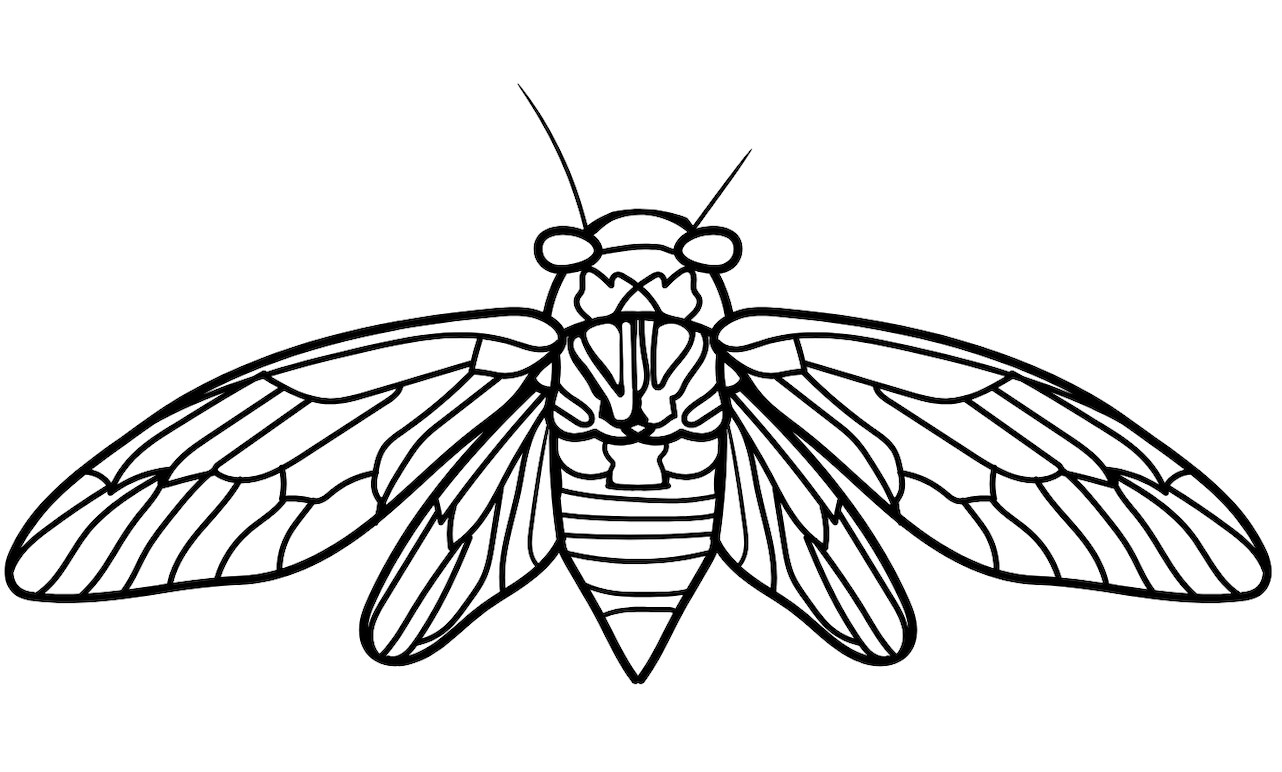 Free Teaching Material on Cicadas for Young Children! Get them ready for a buzz-tastic adventure!