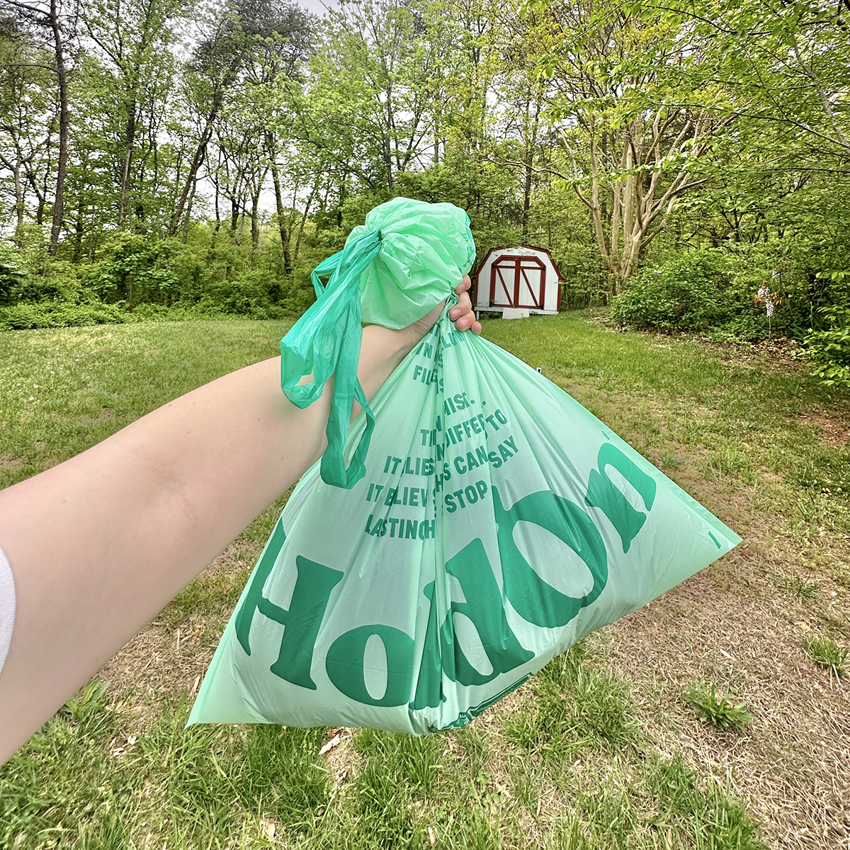 How to Teach Kids Environmental Stewardship