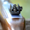 TechSights 200 Sight Set for Ruger 10/22