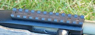 Ruger 10/22 Scope Mount Standard Tactical