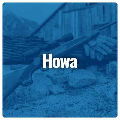 Shop Howa Rifles