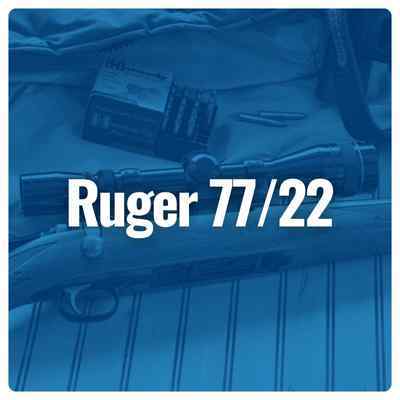 Shop Ruger 77/22