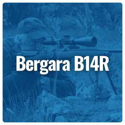 Shop Bergara B14R