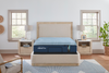 Tempur-Pedic Tempu-ProAlign 2.0 Mattress Medium