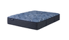 Serta Perfect Sleeper Rhapsody Tight Top Mattress Medium