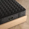 Beautyrest Centennial Ares Tight Top Mattress Firm
