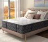 Serta Perfect Sleeper L2 Tight Top Extra Firm Mattress
