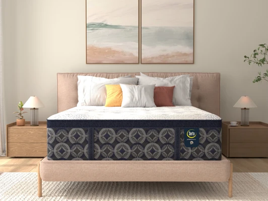 Serta Perfect Sleeper L2 Euro Top Mattress Firm