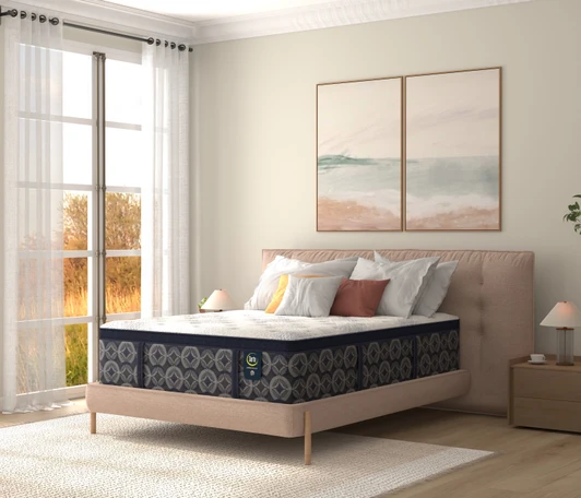 Serta Perfect Sleeper L2 Euro Top Mattress Firm