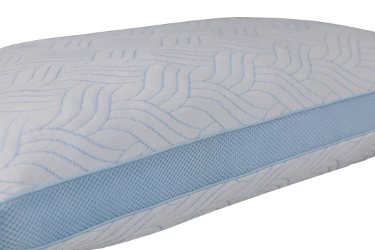 Healthguard Cool Ice Pillow