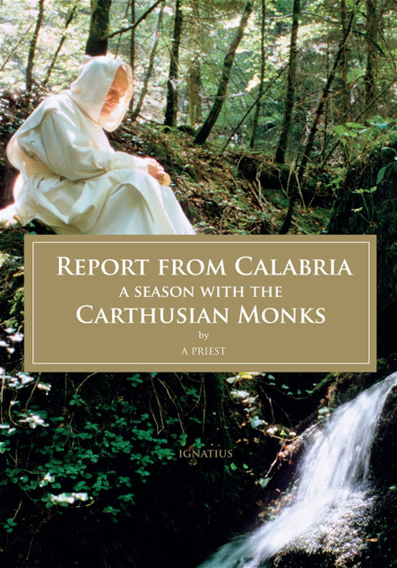 Report from Calabria |~ RCAP