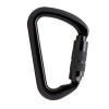 Fusion Essence Carabiner