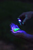 Nebo Slim Mini UV Rechargeable Pocket Light 150 Lumens