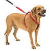 Sporn The Ultimate Dog Red Control Harness