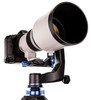 Benro GH5C Carbon Fiber Gimbal Head with PL100LW Plate