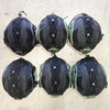 Paraclete High-Cut NIJ Level IIIA Ballistic Helmet w/ Bungee Net Cover, Police Trade
