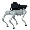Throwflame Thermonator Flamethrower Wielding Robot Dog