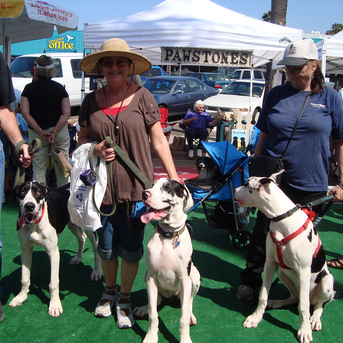 rok strap dog lead large