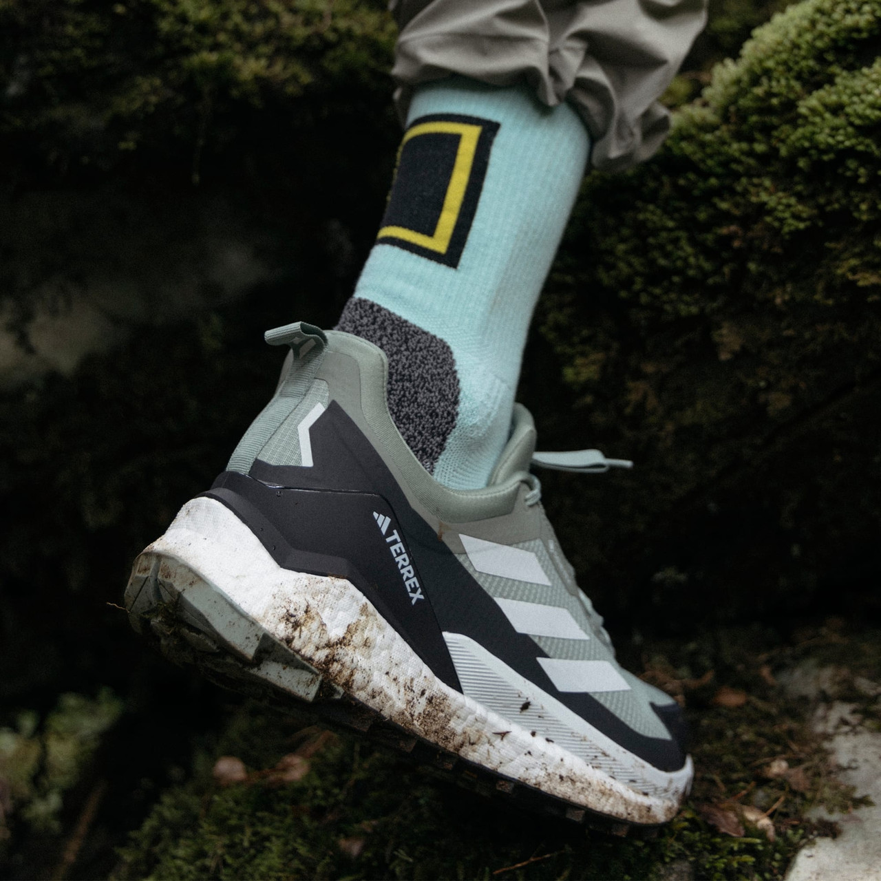 Adidas IE5103 Terrex Free Hiker Low Gore-tex Hiking Shoes On