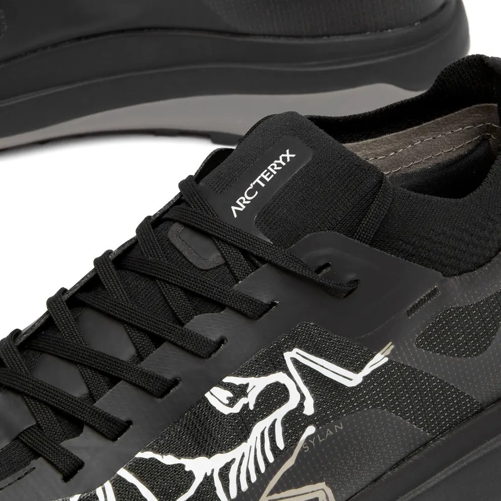 Arc'teryx Men's Sylan PRO Black/Black Shoes
