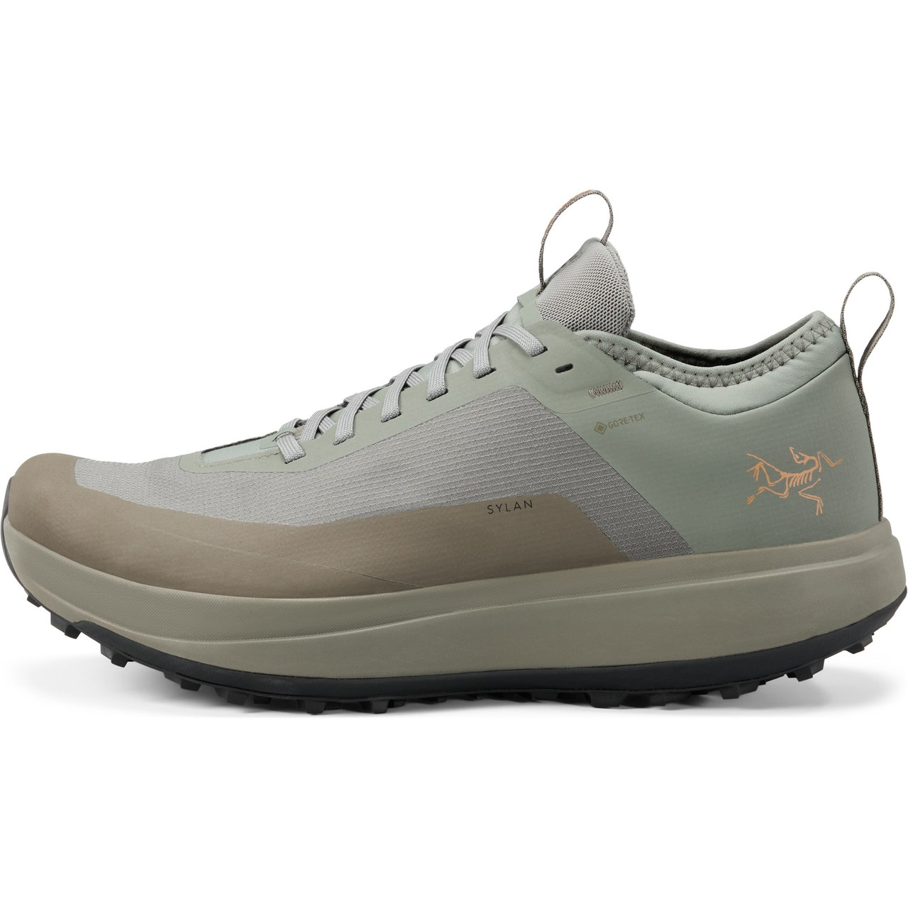 Arc'teryx Men's Sylan GTX Forage/Tatsu Shoes