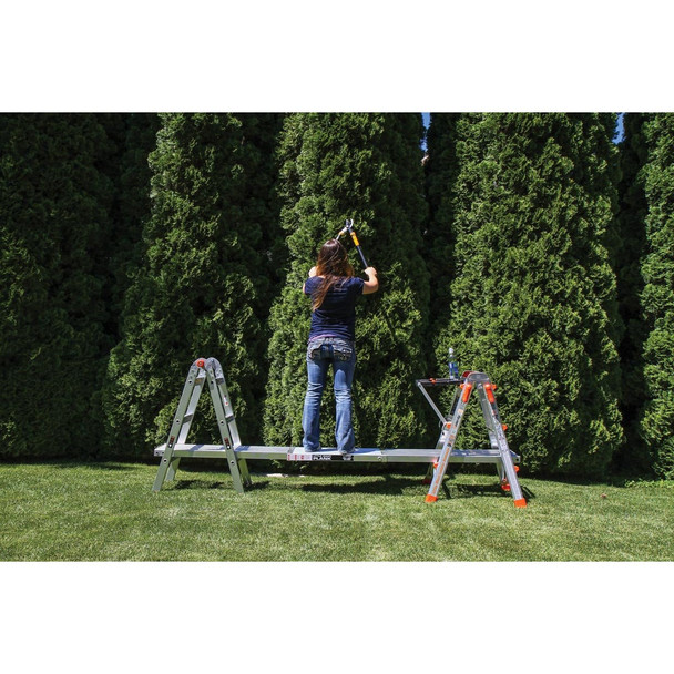 Little Giant Velocity Ladder