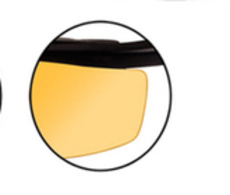 Wiley X Wiley X Light Rust Lenses - $22.00 at BOTACH 