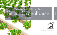 How to Set Up Your Own Smart Greenhouse Today