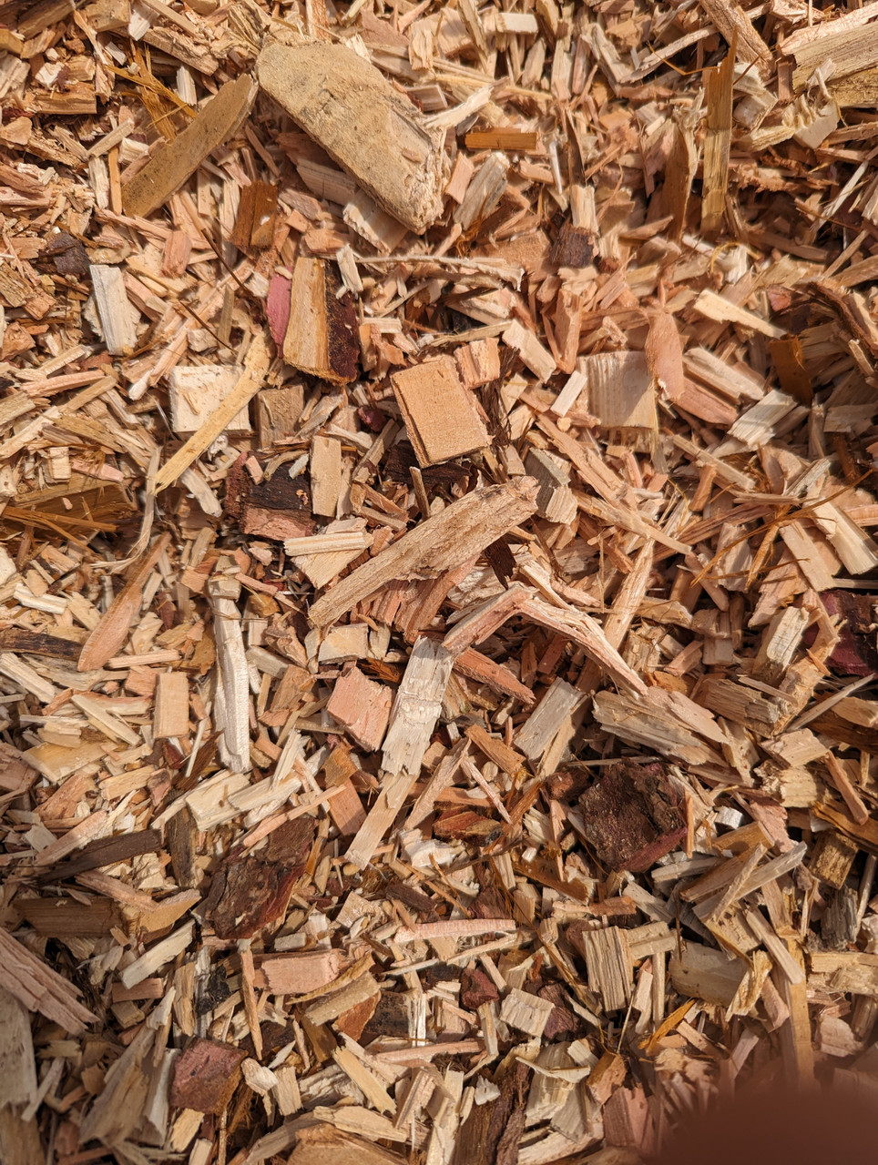 Wood Chip
