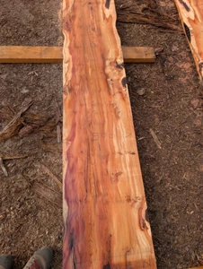 Yew slab YW002