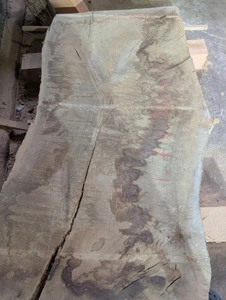 Oak Slab 751