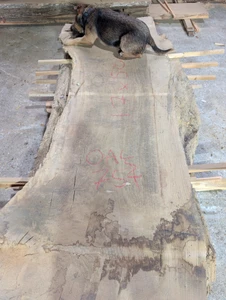 Oak Slab 754