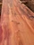 Yew slab YW003