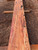 Yew Wood Slab
