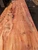 Yew Slab YW004