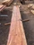 Yew Slab YW004