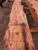 Yew Slab YW008