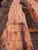 Yew Slab YW008