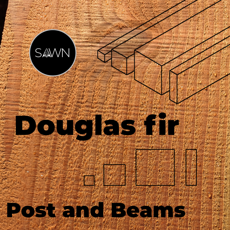 Douglas Fir posts and beams