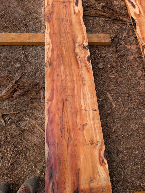 Yew slab YW002