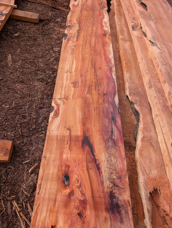 Yew slab YW003