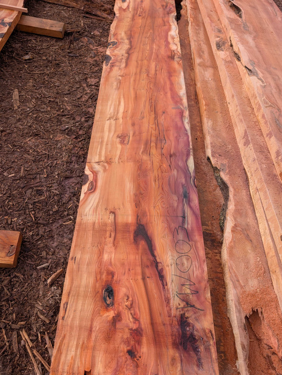 Yew slab YW003