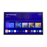 Mitsumaru Outdoor TV IP65 65'' [65OTV20H]