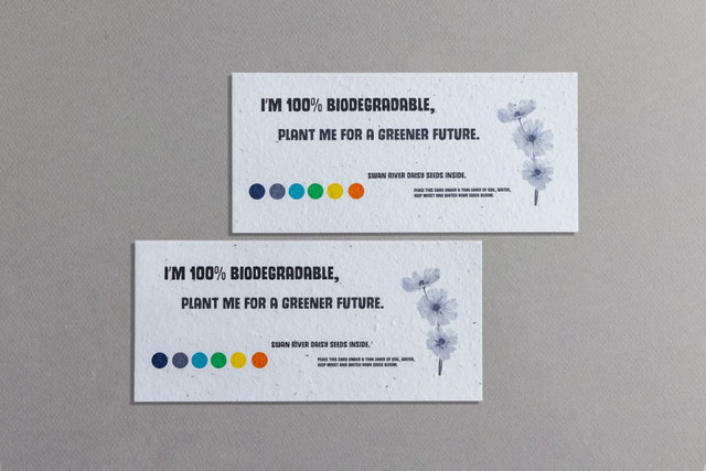 Seed paper cards in natural tones with floral illustrations, featuring a logo and vibrant colour dots.
